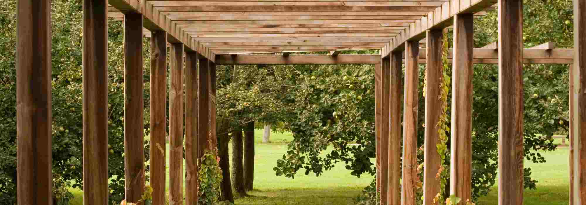Wood in the Garden: Ideas and Inspiration