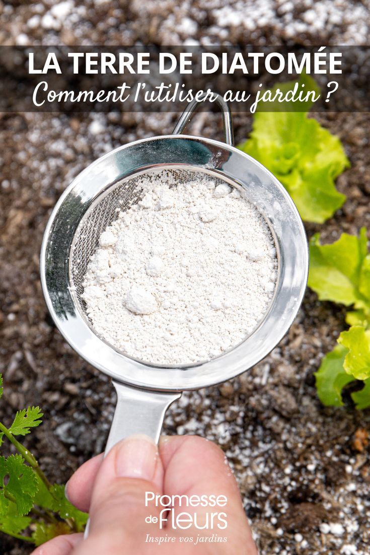 How to use diatomaceous earth in the garden diatomaceous earth in the vegetable garden