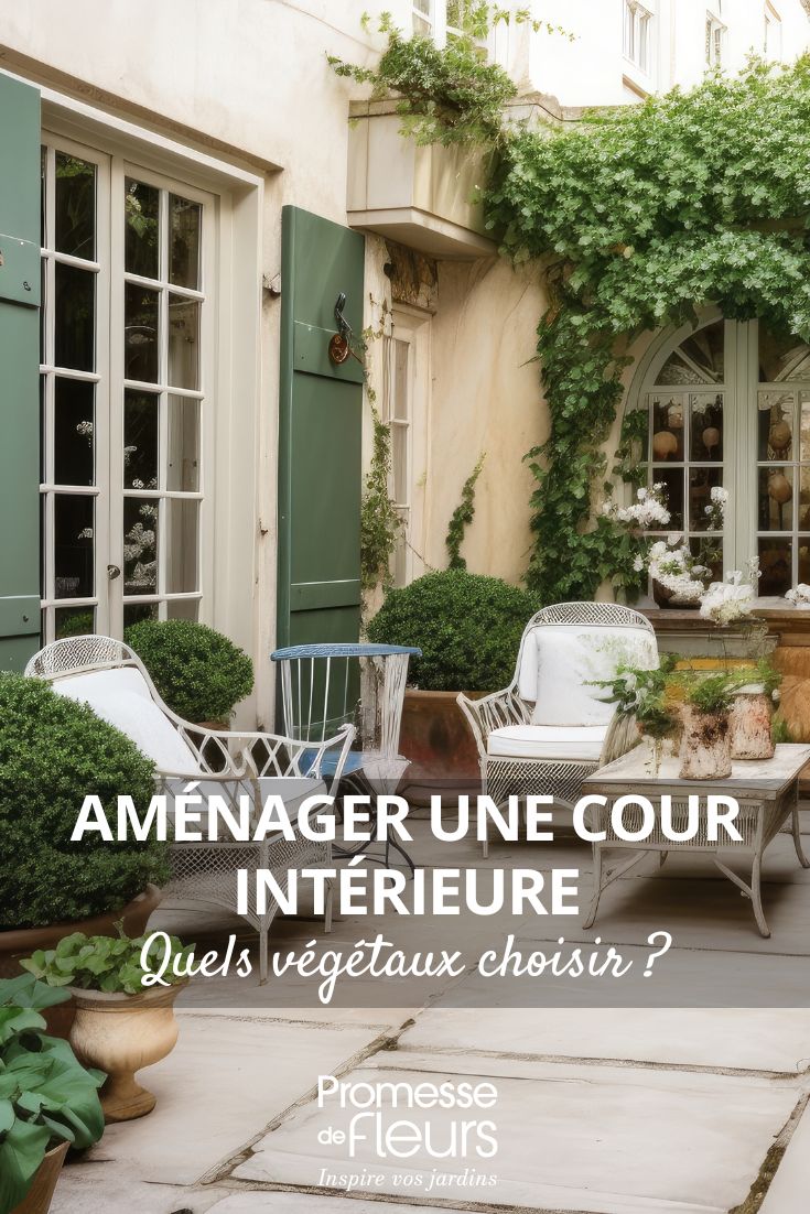 Which plants to choose for landscaping an interior courtyard? what to plant in a courtyard?