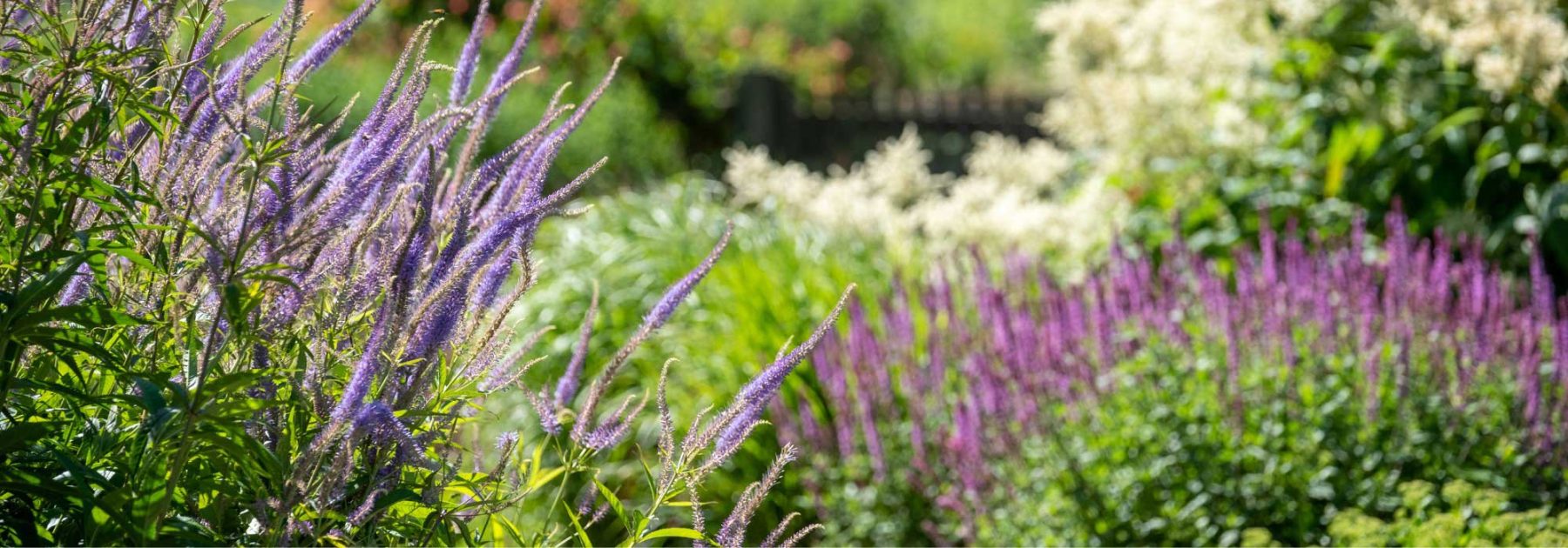 Garden Trend 2025: Naturalistic Aesthetics Inspire a Rustic and Relaxed Style