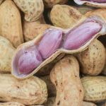 How to grow peanuts to harvest peanuts?