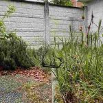 How to Revive an Overgrown Garden, Step by Step