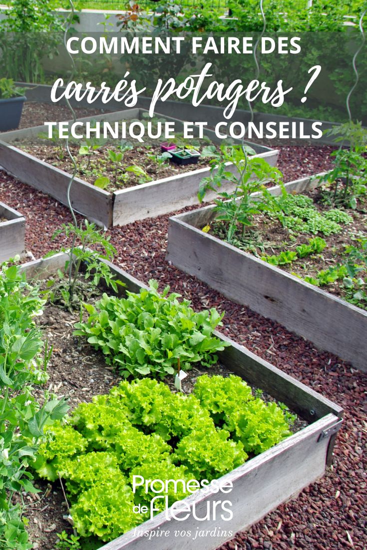 raised beds in the garden