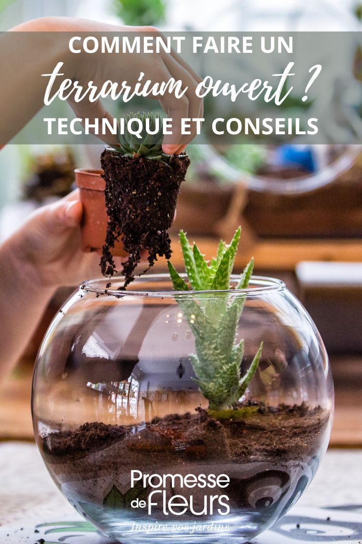 Tutorial for making a terrarium