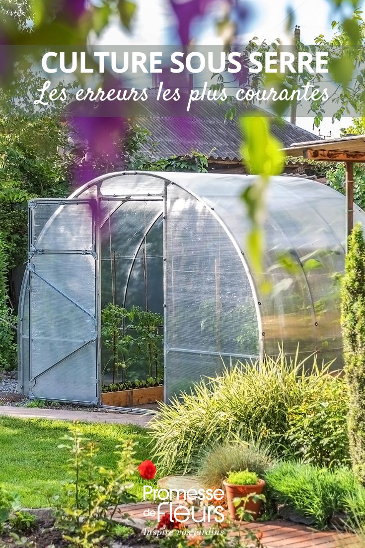 Greenhouse Gardening: The Most Common Mistakes Greenhouse planting: best practices and techniques