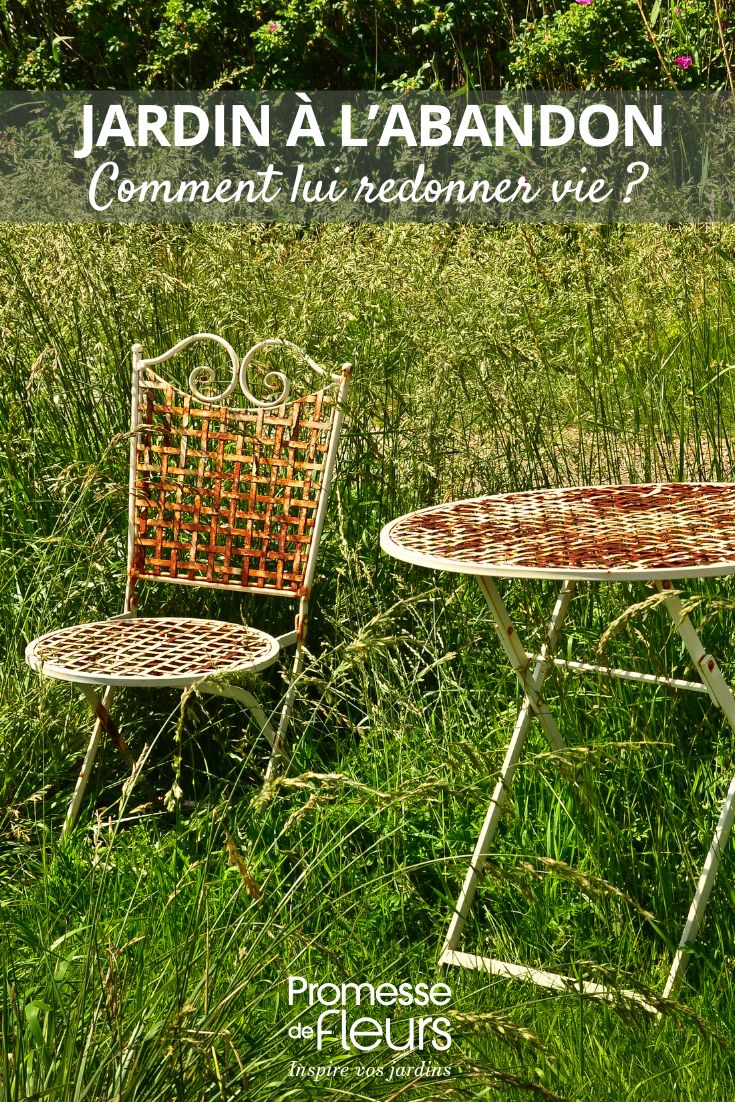 abandoned garden