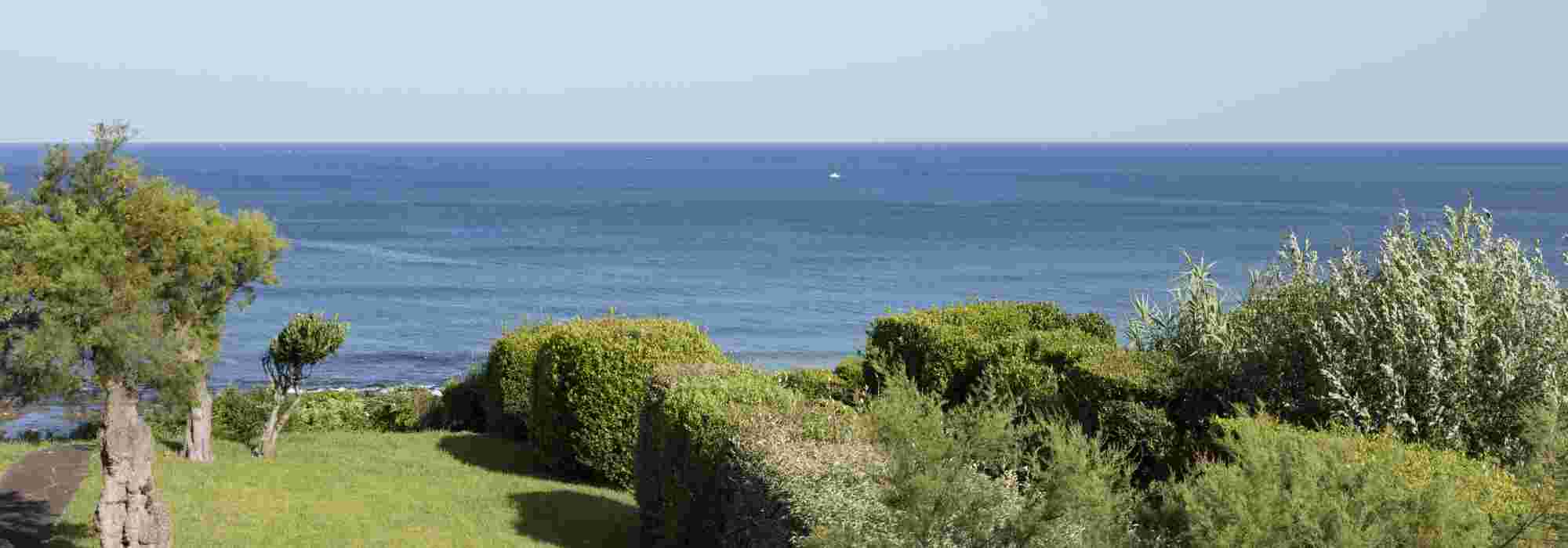 The best shrubs for oceanic and coastal climate