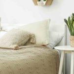 Perfect Indoor Plants for a Bedroom: Our Practical Guide
