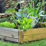 How to make raised vegetable beds?