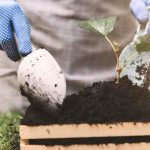 Creating a vegetable garden with children to build connections and learn while having fun!