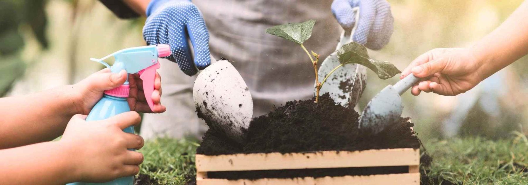 Creating a vegetable garden with children to build connections and learn while having fun!