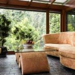 Ideal Indoor Plants for a Conservatory