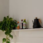 Indoor plants for the kitchen: our ideal varieties and tips for decorating this space