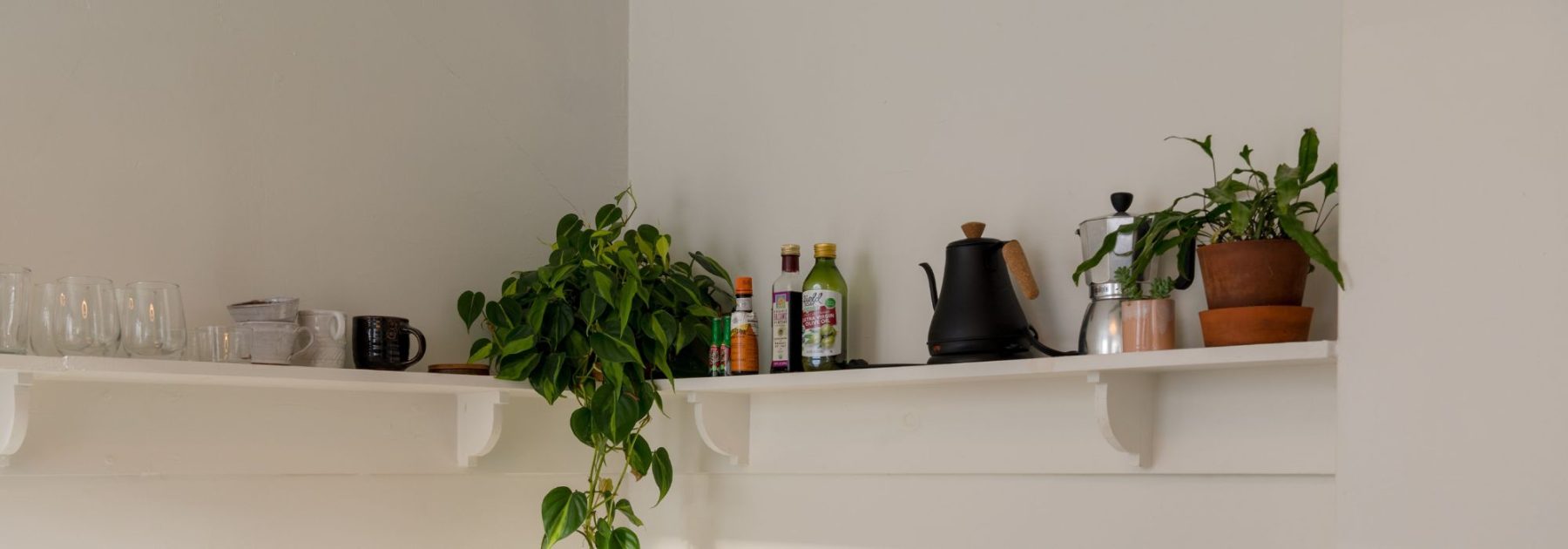 Indoor plants for the kitchen: our ideal varieties and tips for decorating this space