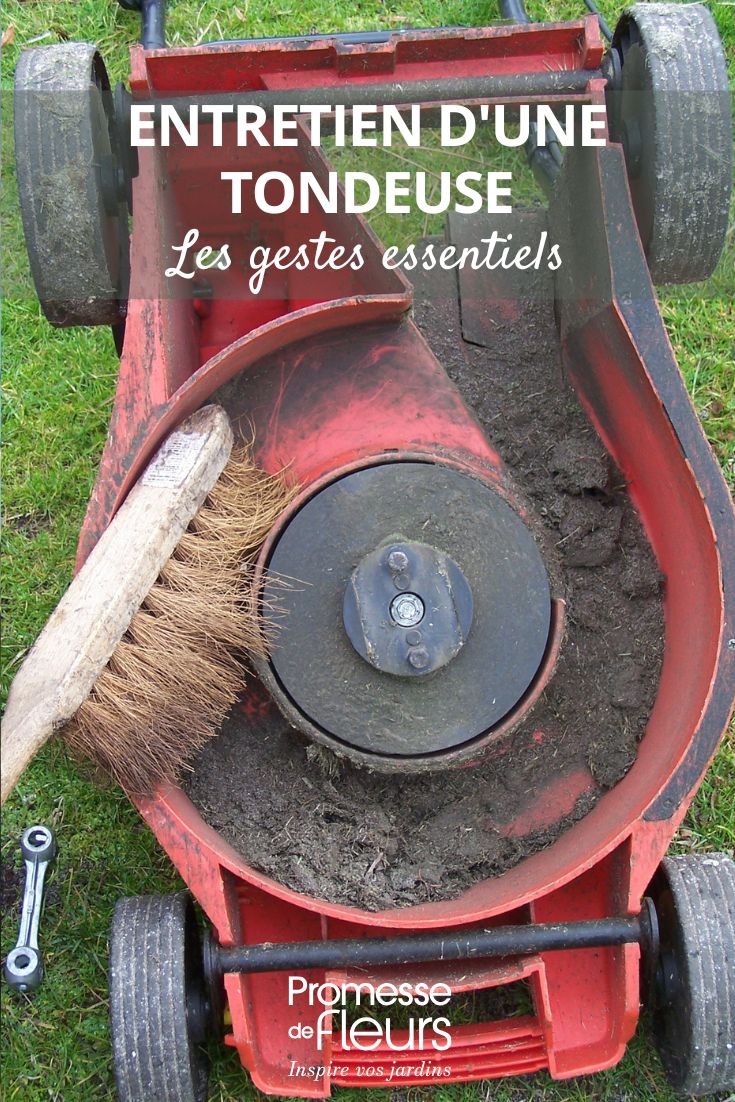 Maintenance of a lawn mower essential actions Tips and advice for maintaining your garden mower