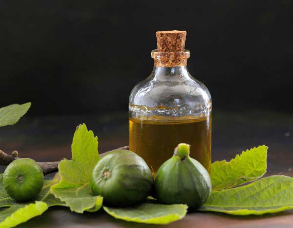 How to make fig oil?