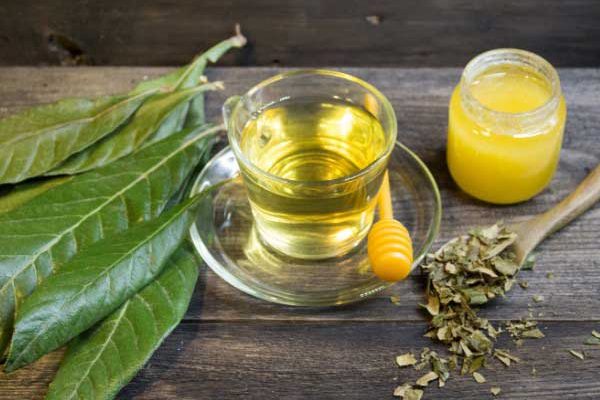 How to make Japanese loquat tea?