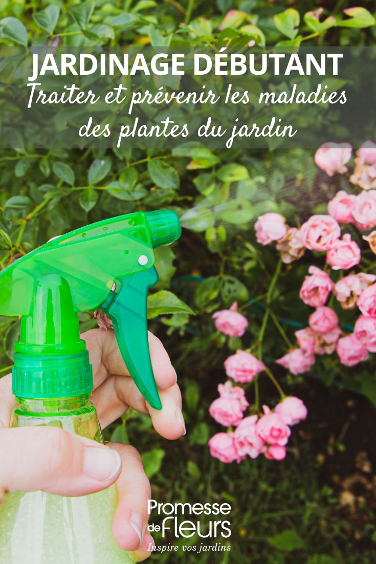 Gardening for beginners treating and preventing garden plant diseases caring for the garden