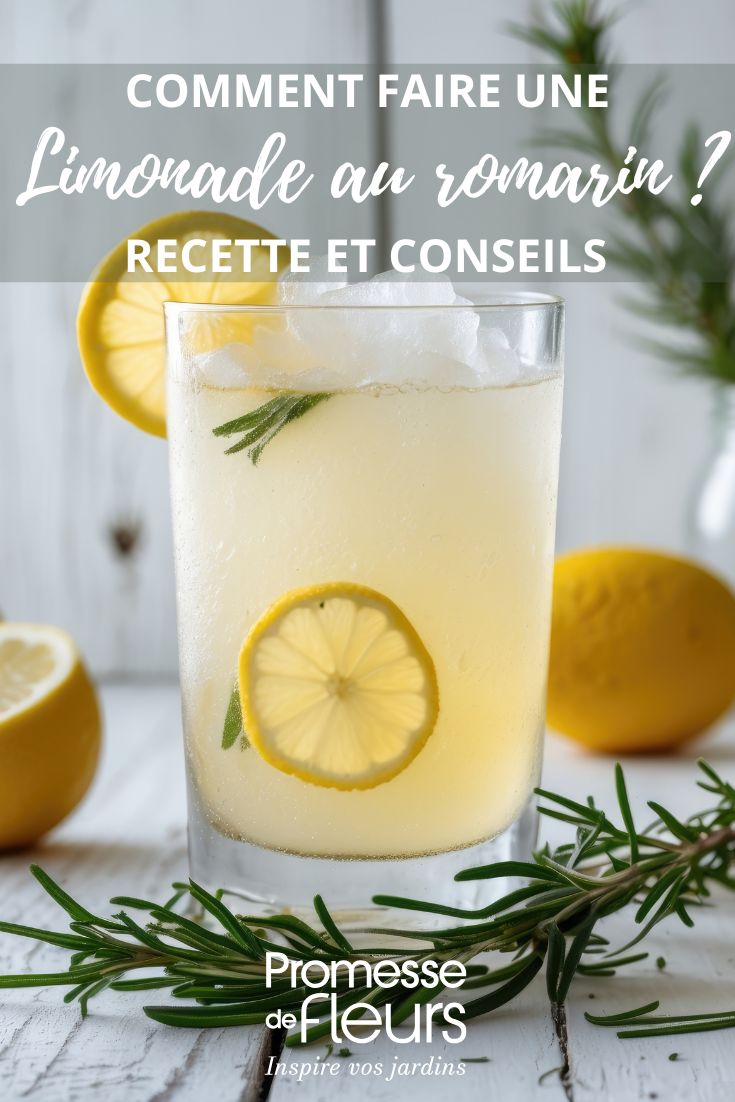Lemon Rosemary Lemonade Recipe