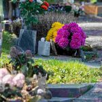 Hardy plants for cemeteries: what to plant in a pot on a grave?