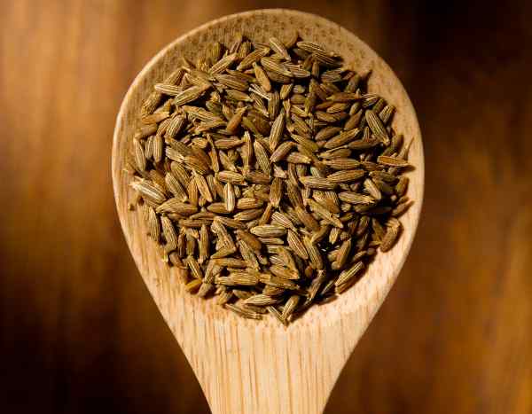 Comment to harvest and store cumin seeds