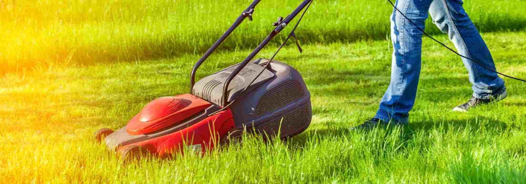 How to properly maintain your lawn mower?