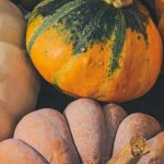 Little-known or forgotten squashes: treasures for the kitchen garden