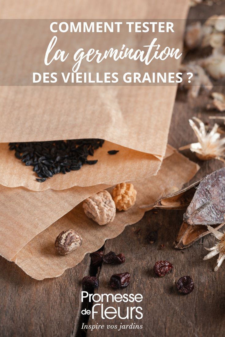 seed packets