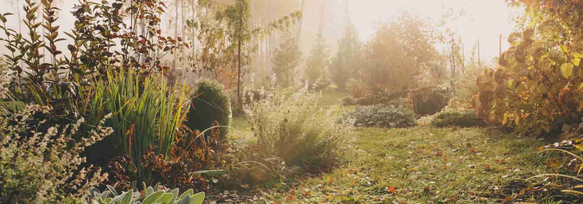 Getting one's hands dirty in the soil again on St Catherine's Day