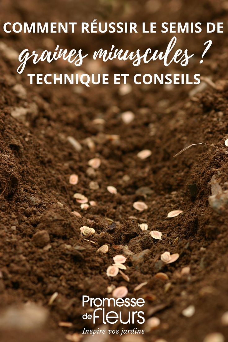 Sow small seeds