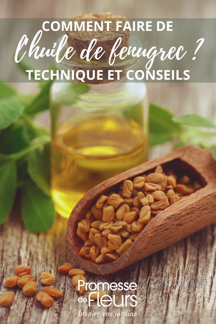 Homemade fenugreek oil tutorial