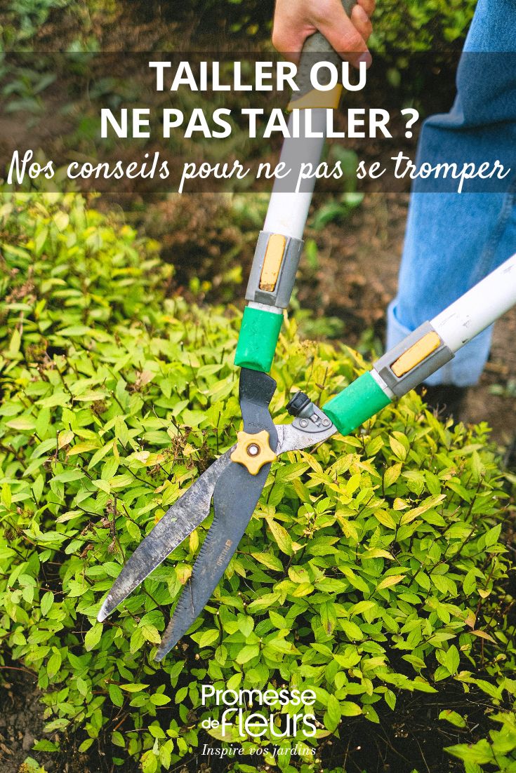 Should you prune or not?