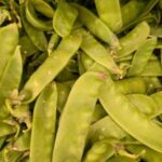 Sweet pea sowing: when and how to sow?