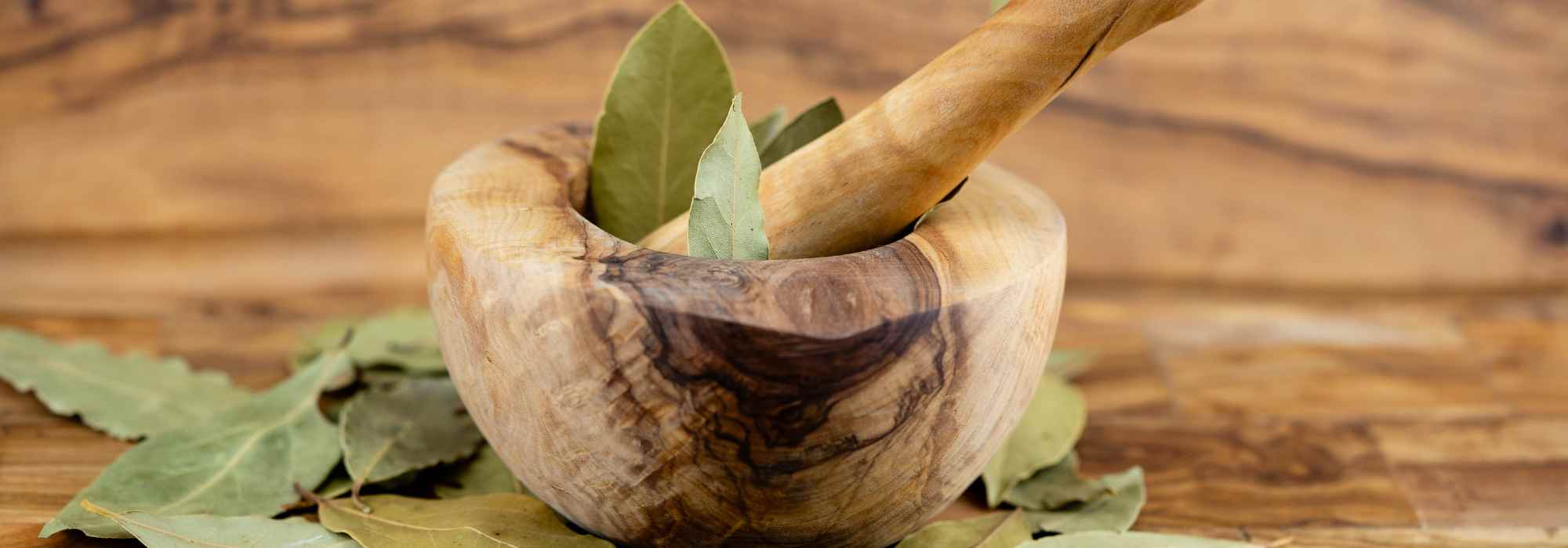 Bay laurel and health: grow it to enjoy its benefits