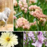 Unicorn Colour Trend