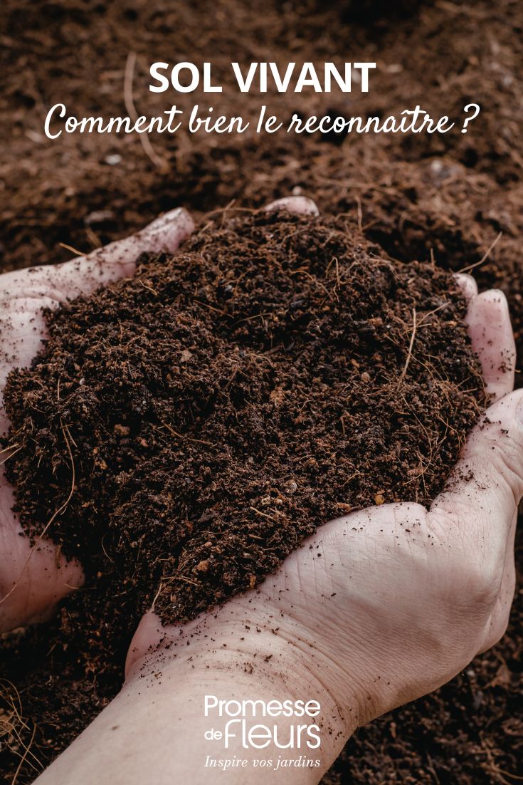 soil