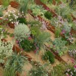 Sand garden: a bold, contemporary landscaping inspiration