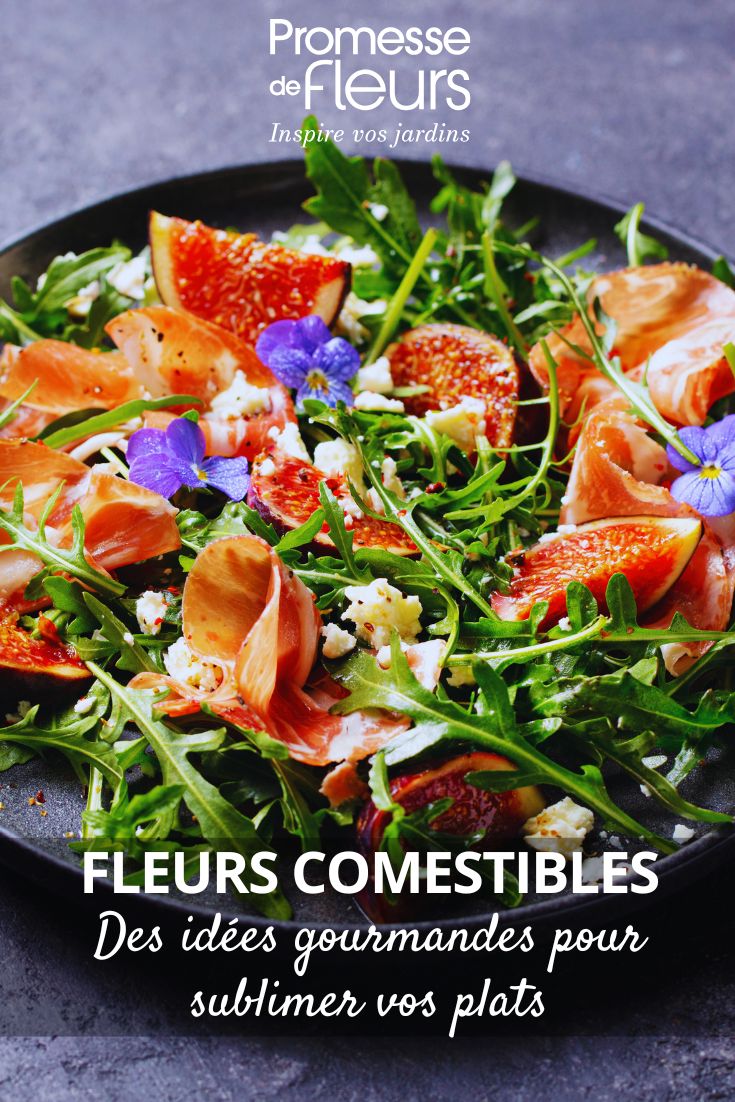 Edible flowers: gourmet ideas to elevate your dishes