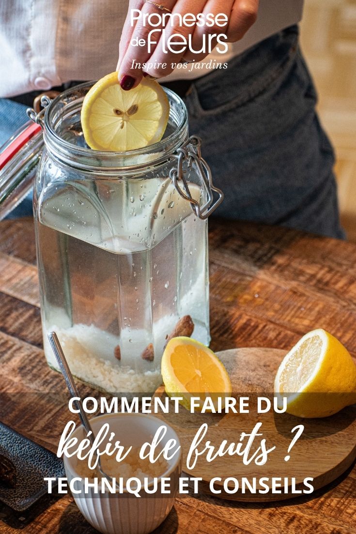 fruit kefir recipe