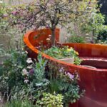 Chelsea Flower Show 2026: winners and favourites