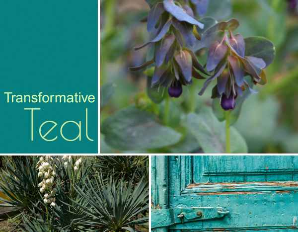 Colour trend 2026 "Transformative Teal": teal transforms garden