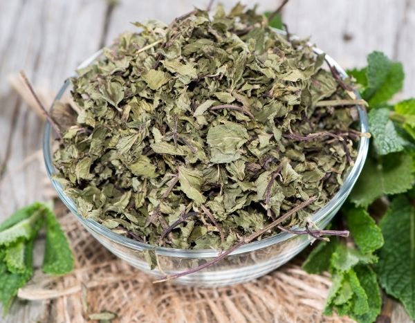 How to dry fresh mint?