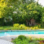 Which plants to choose around a pool?