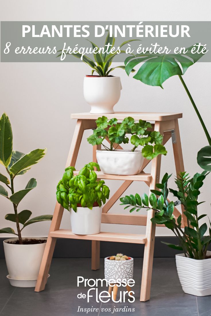 indoor plants