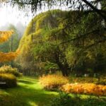 How to enlarge an existing border in autumn?
