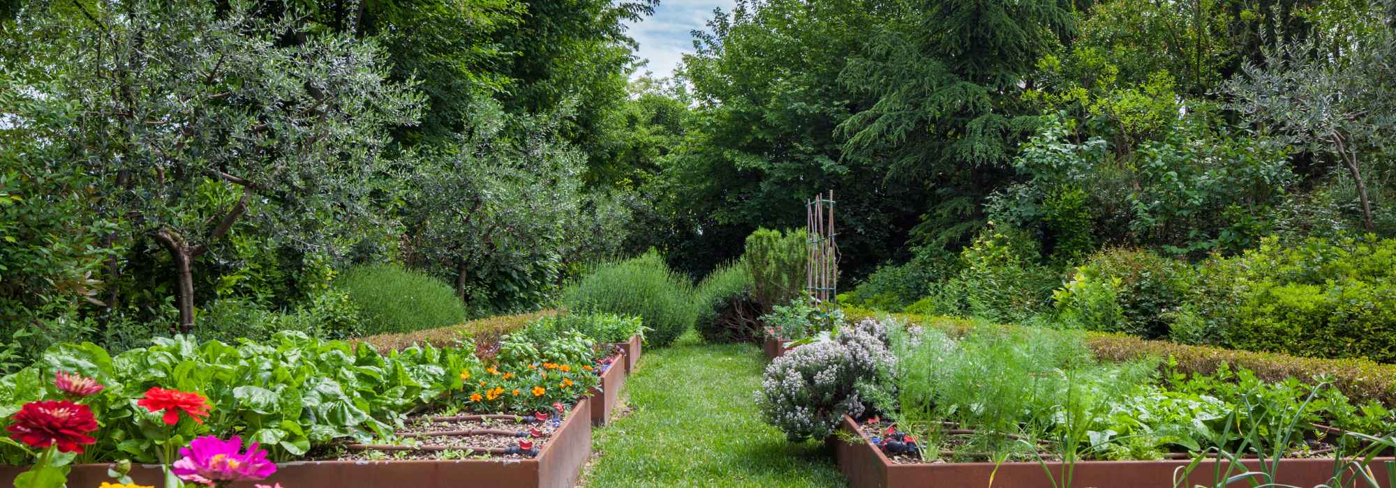 9 gardening tips repeated by all gardeners but which turn out to be false!