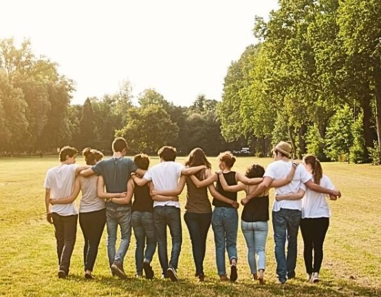 2025 Retrospective: The Editorial Team's Favourite Plants