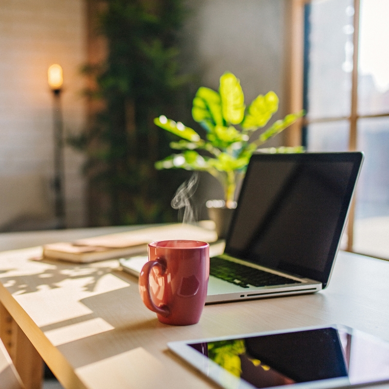 Houseplants for the office