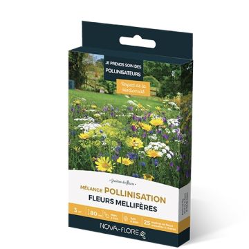 Pollination Seed Mix