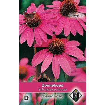 Echinacea purpurea 'Zonnehoed'